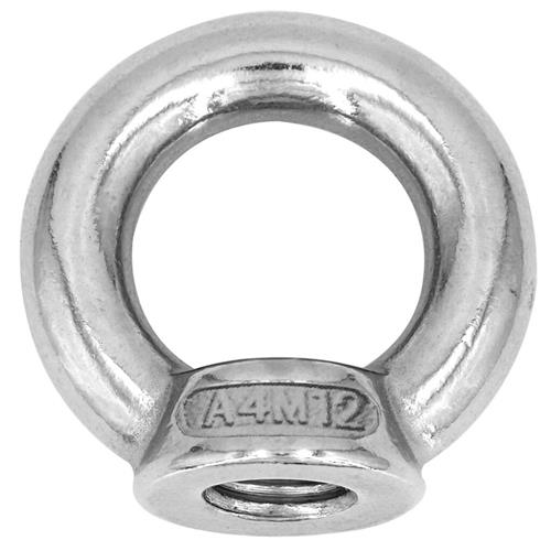 Hollex oogmoer M6 DIN582 rvs316
