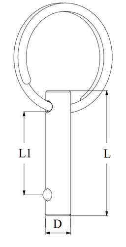 Hollex fastpin met ring 8x25mm rvs316