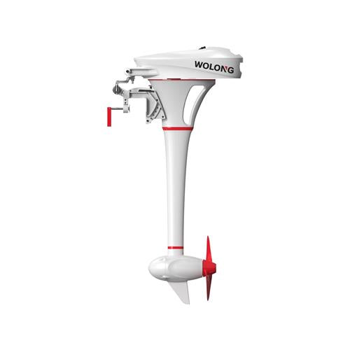 Wolong Flowstar 1.5 kortstaart met afstandsbediening en accu