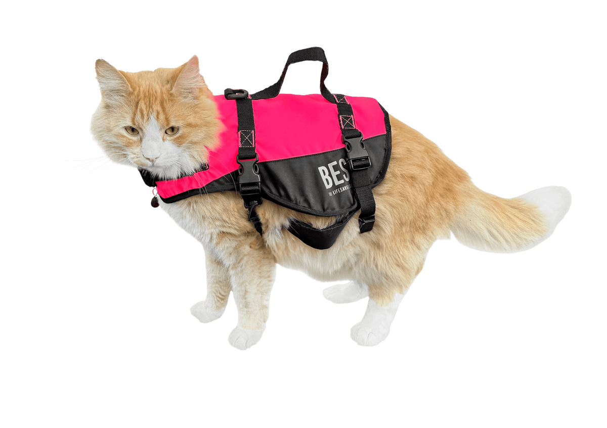 Besto Kattenvest deluxe roze/zwart 3-7 kg