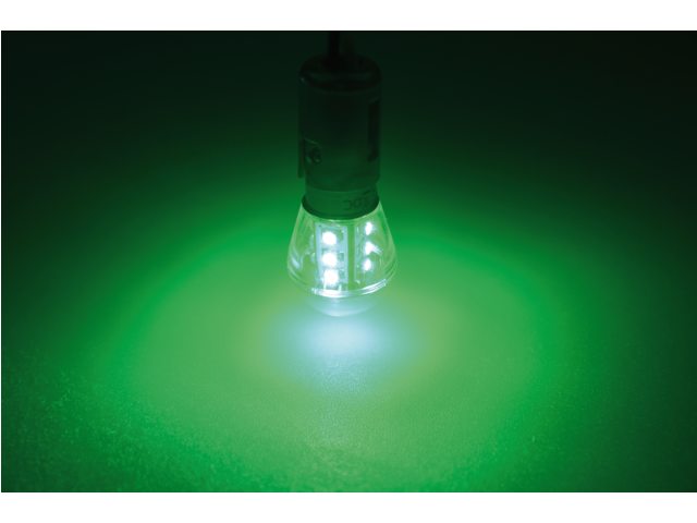 Talamex Ledlamp led15 10-30 V BAY15D groen