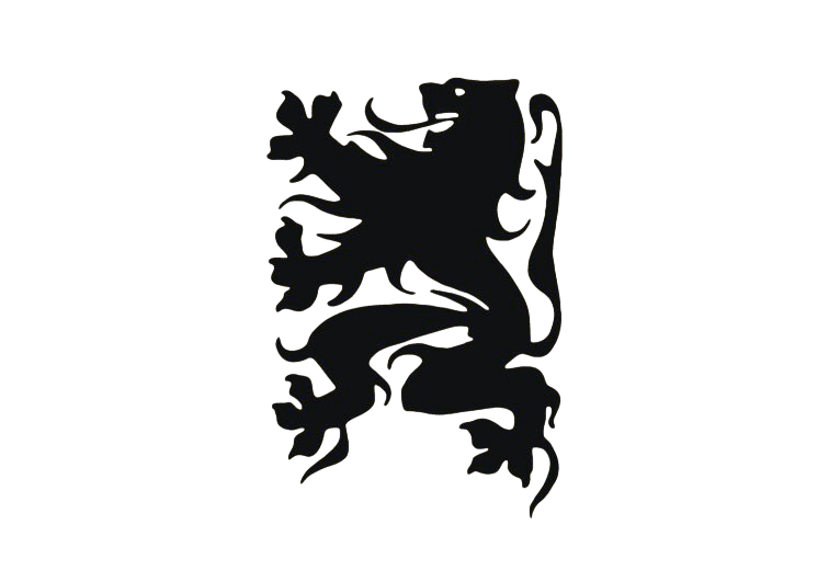 Vlaanderen vlag 40x60