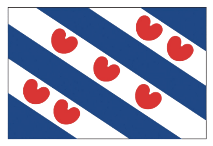 Talamex Friese vlag 30 x 45 cm