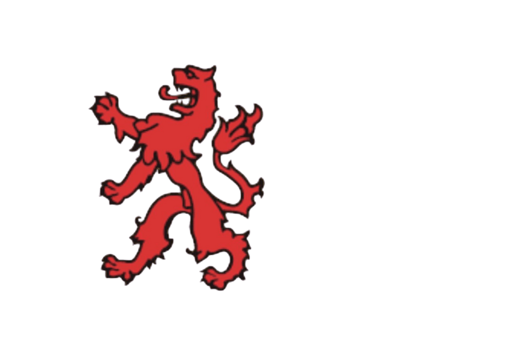 Zuid-hollandse vlag 20x30