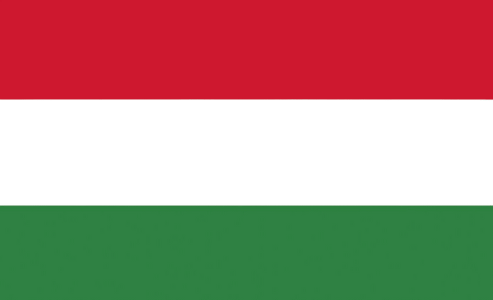 Talamex Hongaarse vlag 40 x 60 cm