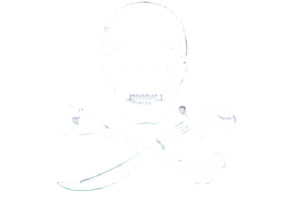 Piraten vlag 30x45