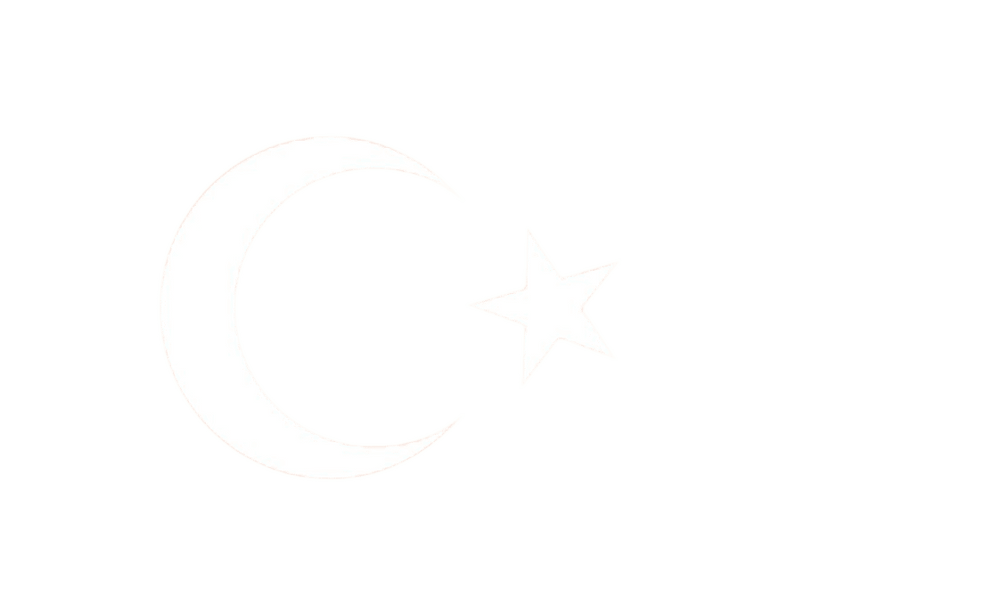 Turkse vlag 20x30