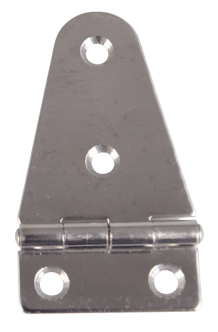 Talamex Scharnier rvs 38 x 67 mm