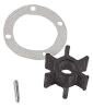 Nitrile inboard impeller pin drive met pakking & bout