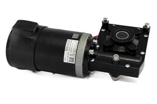 Rheinstrom motor 12V voor M/M50E