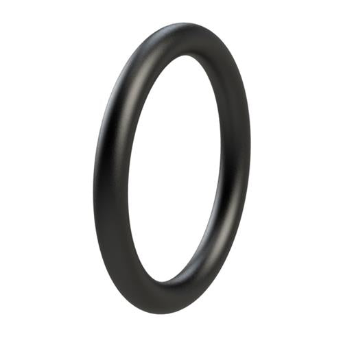 Rheinstrom o-ring 124x3 voor 6E pomp