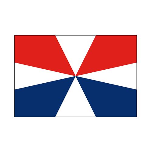 Hollex Geusvlag 30x45cm