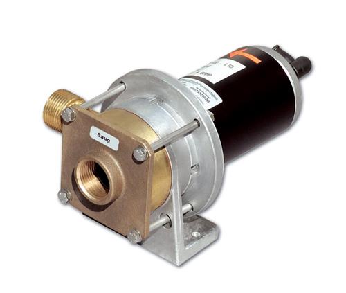 Rheinstrom dekwaspomp Z60 24V brons