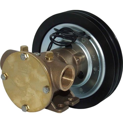 Jabsco pomp brz clt 2A/24V 080BSP