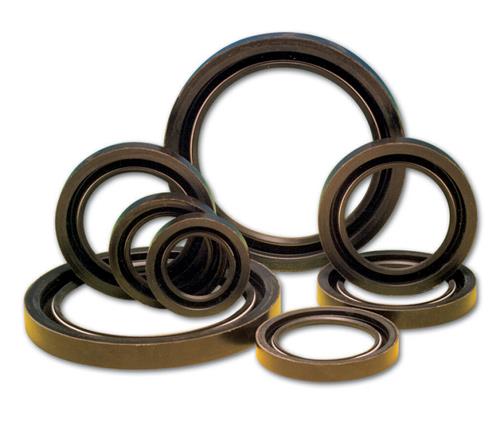 Carco seal NBR/rvs voor as ø45xø70x11