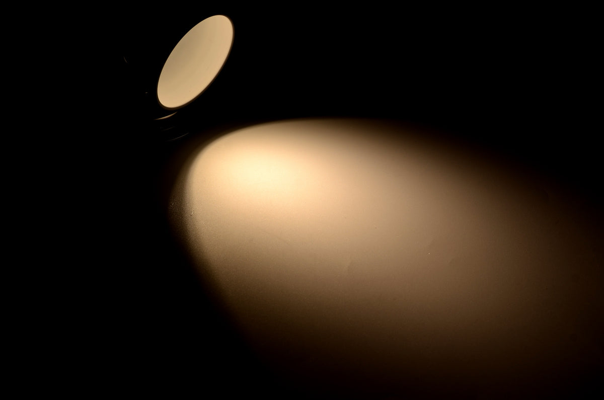 Talamex Led wandlamp Soletta verchroomd 10-30 V dimbaar