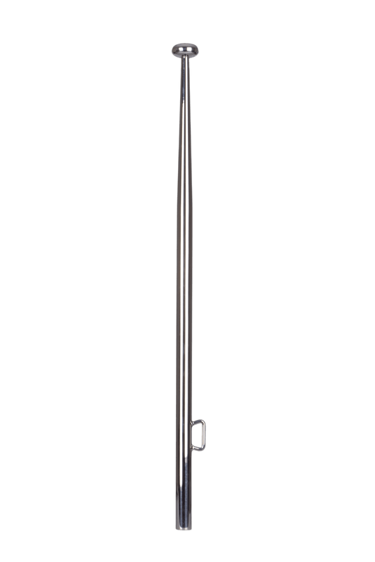 Vlaggenstok rvs 25x900mm