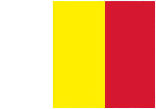 Belgische vlag 40x60