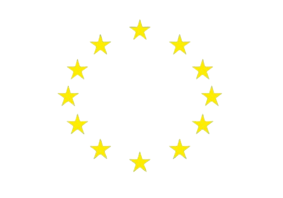 RVE vlag 30x45