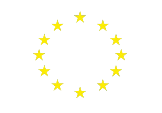 RVE vlag 30x45