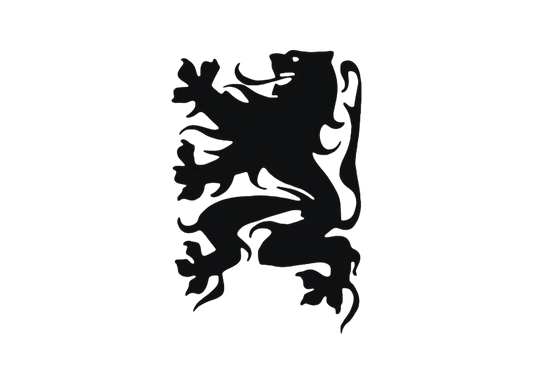 Vlaanderen vlag 30x45