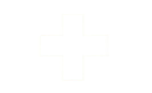 Zwitserse vlag 20x30