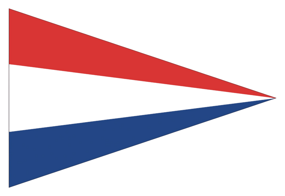 Puntvlag nederland 20x30