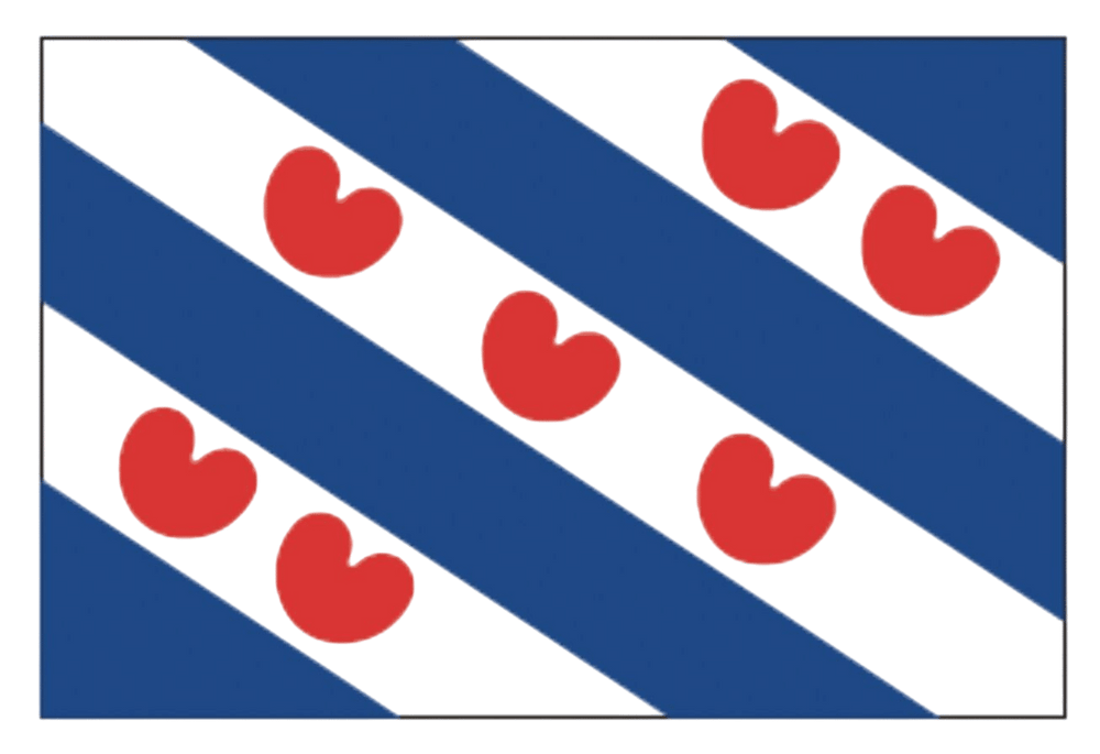 Friese vlag 40x60