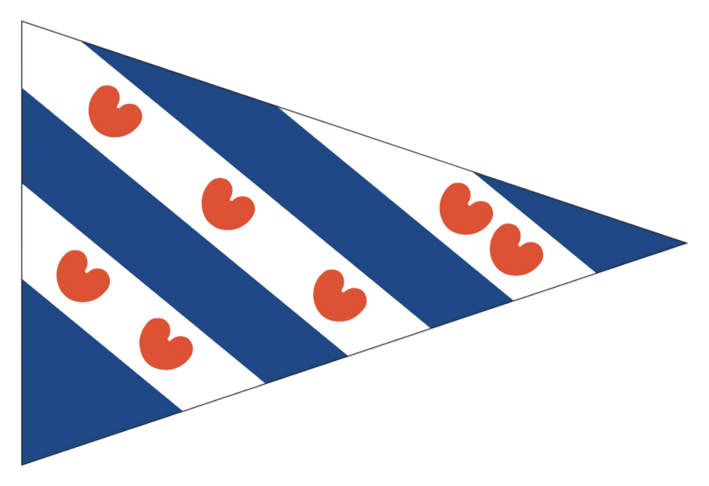 Friese puntvlag 20x30