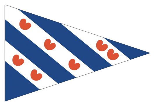 Friese puntvlag 30x45