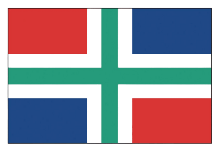 Talamex Groningse vlag 20 x 30 cm