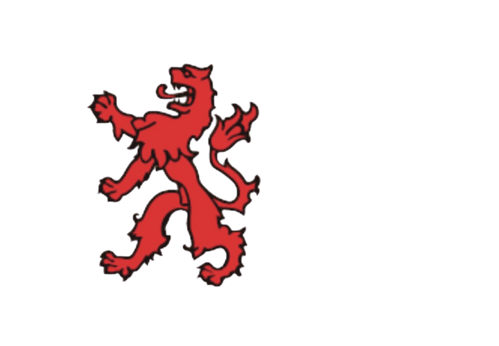 Talamex Zuid-Hollandse vlag 20 x 30 cm