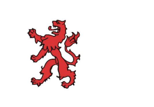 Zuid-hollandse vlag 30x45