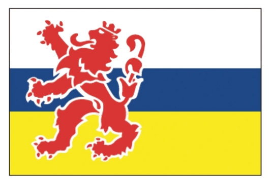 Limburgse vlag 20x30