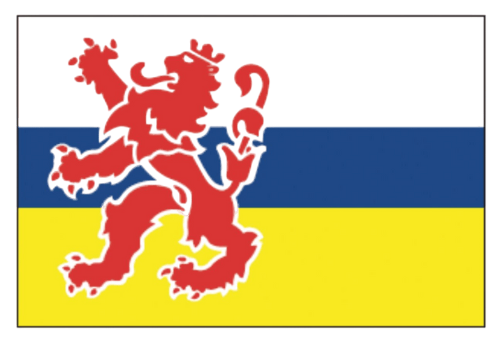 Talamex Limburgse vlag 20 x 30 cm