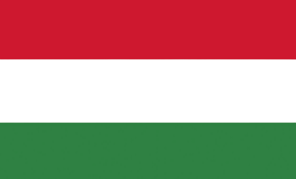 Hongaarse vlag 20x30