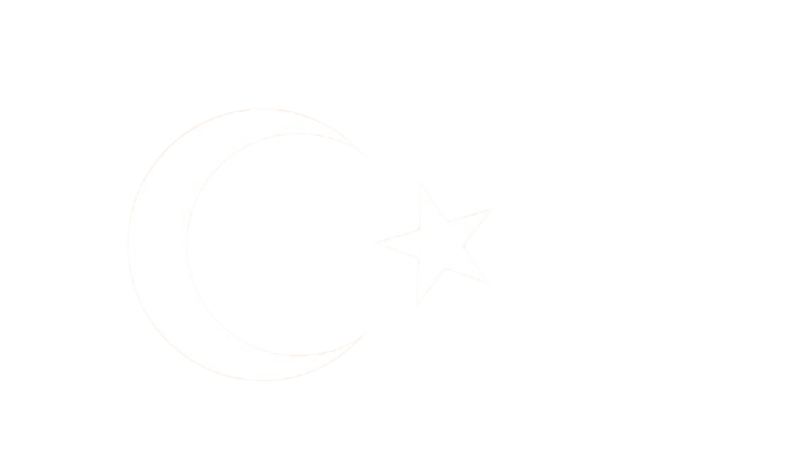 Talamex Turkse vlag 20 x 30 cm
