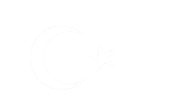Talamex Turkse vlag 20 x 30 cm
