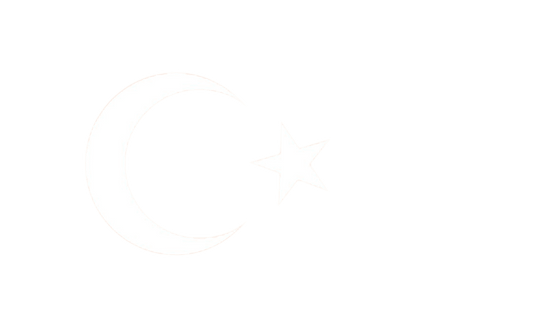 Turkse vlag 30x45
