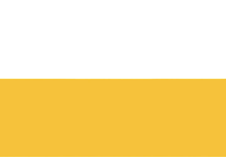Talamex Baden-Württembergse vlag 30 x 45 cm