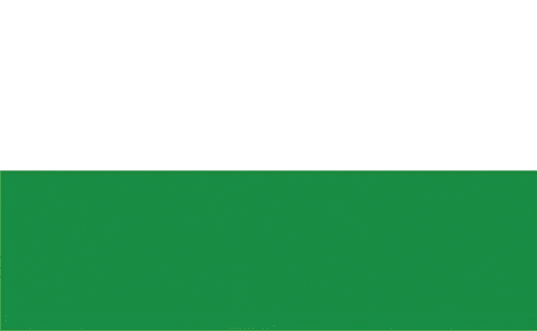 Vlag Sachsen 40x60