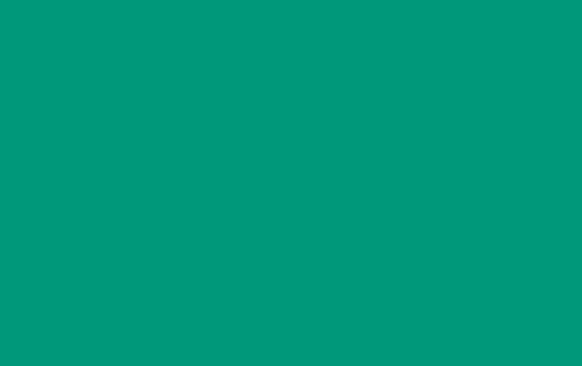 Zoll vlag 75x150x20cm
