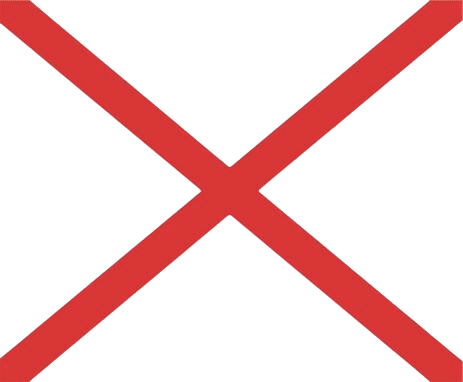 Seinvlag V 30x36