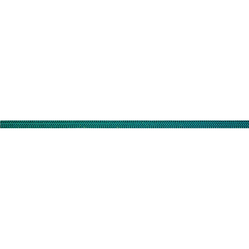 Talamex Racing Special Dyneema SK78 – 12 mm – groen