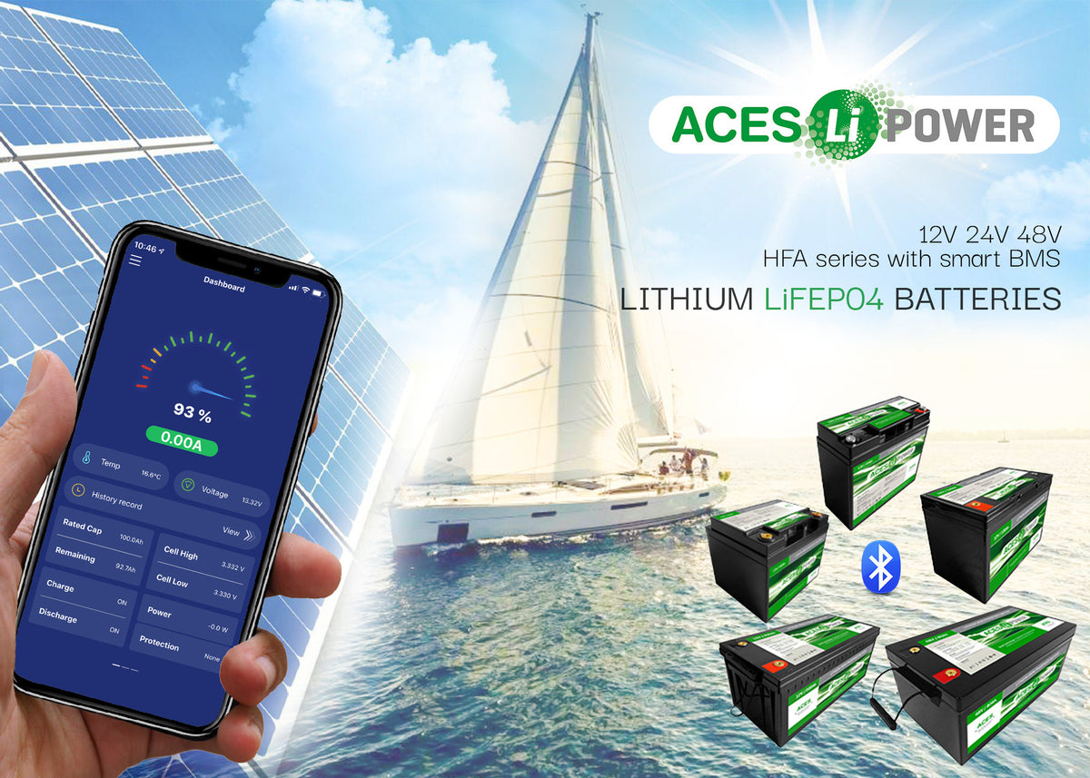Aces Lithium accu 24V 100Ah – afbeelding 2